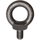Ringschrauben DIN 580 Blank bei SicherFest.de