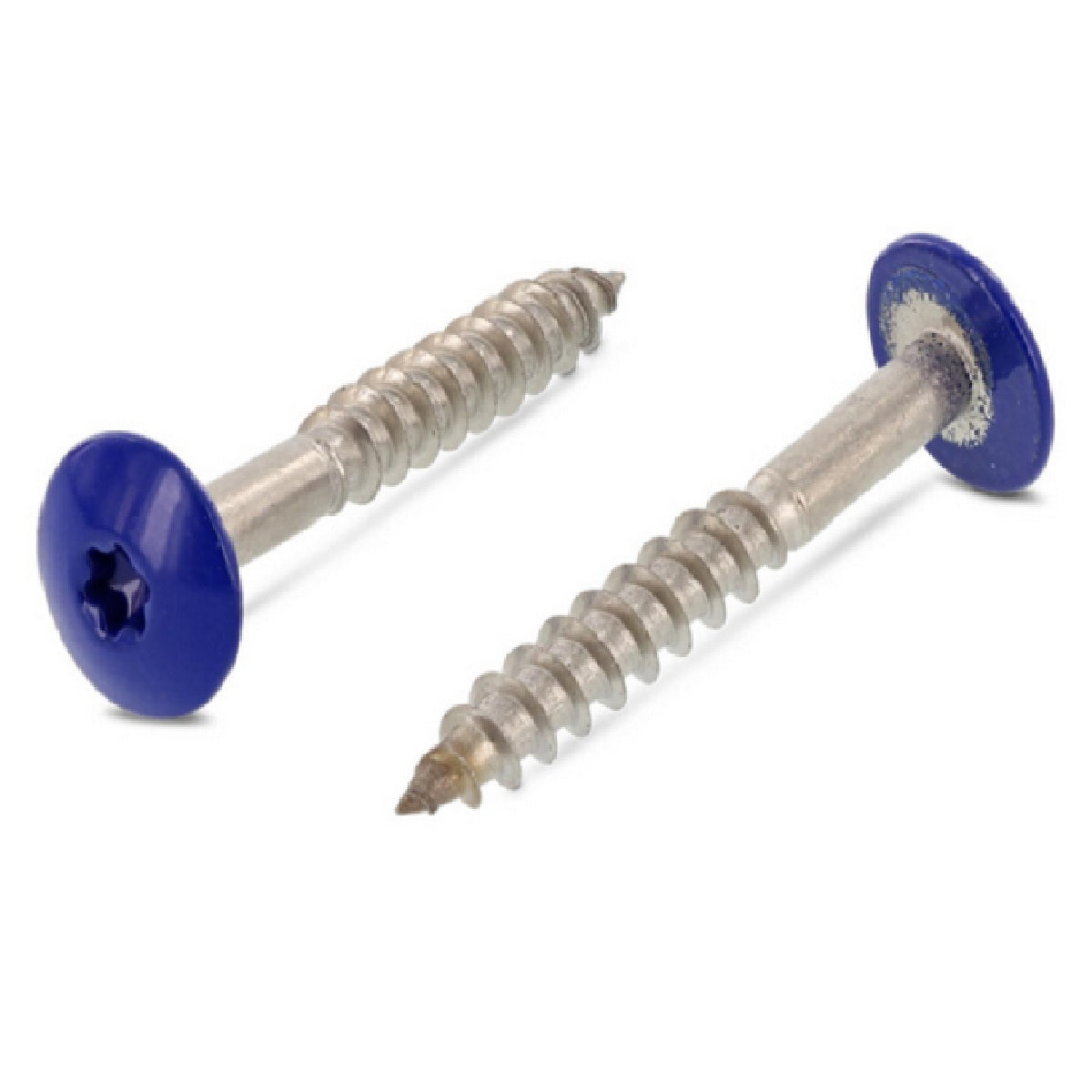 Trespo Holzschrauben Ultramarinblau RAL 5002 Edelstahl bei SicherFest.de